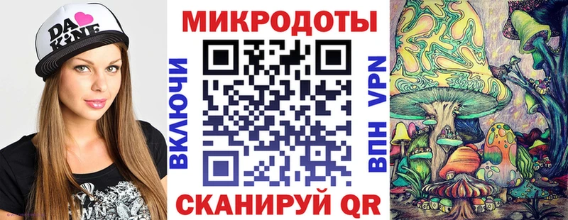 Купить закладки  Чебаркуль  Псилоцибиновые грибы Psilocybe 